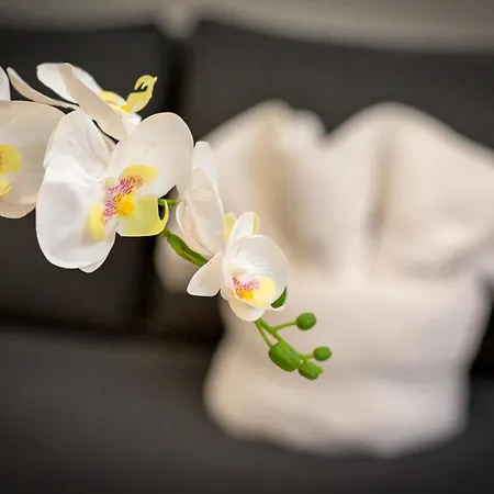 Christophe Centre * روان