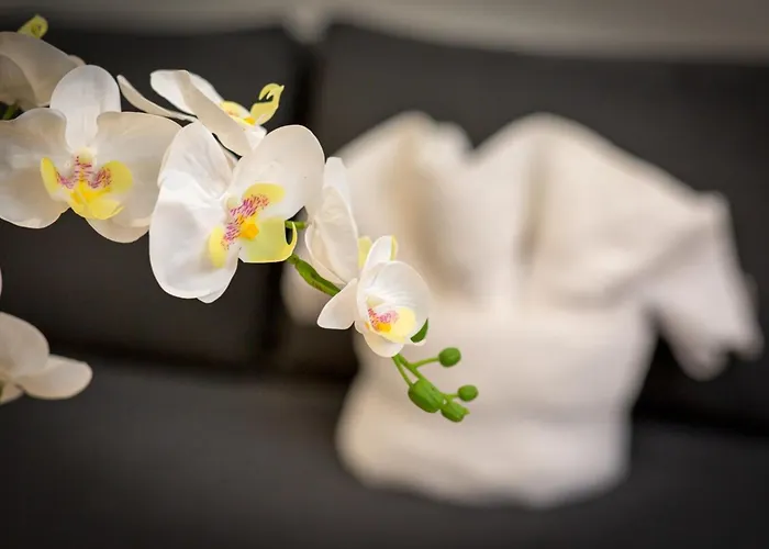 Christophe Centre * Rouen